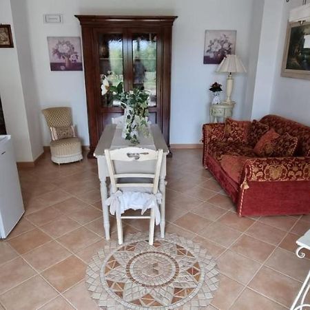 فندق Dolce Shabby موديكا المظهر الخارجي الصورة